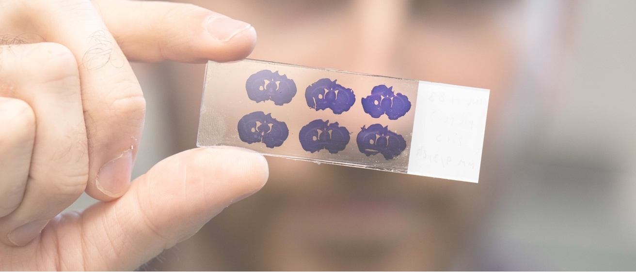 Science Slides